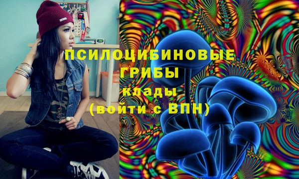 мдпв Балахна