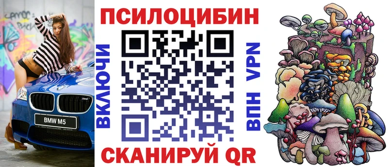 цены   Облучье  Псилоцибиновые грибы Cubensis 